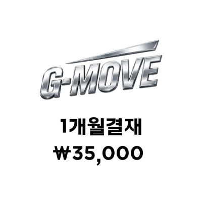 GMOVE 1개월 결재